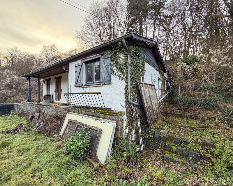 Maison à rénover avec projet sur 17a au pied de la forêt - Img 7271-2