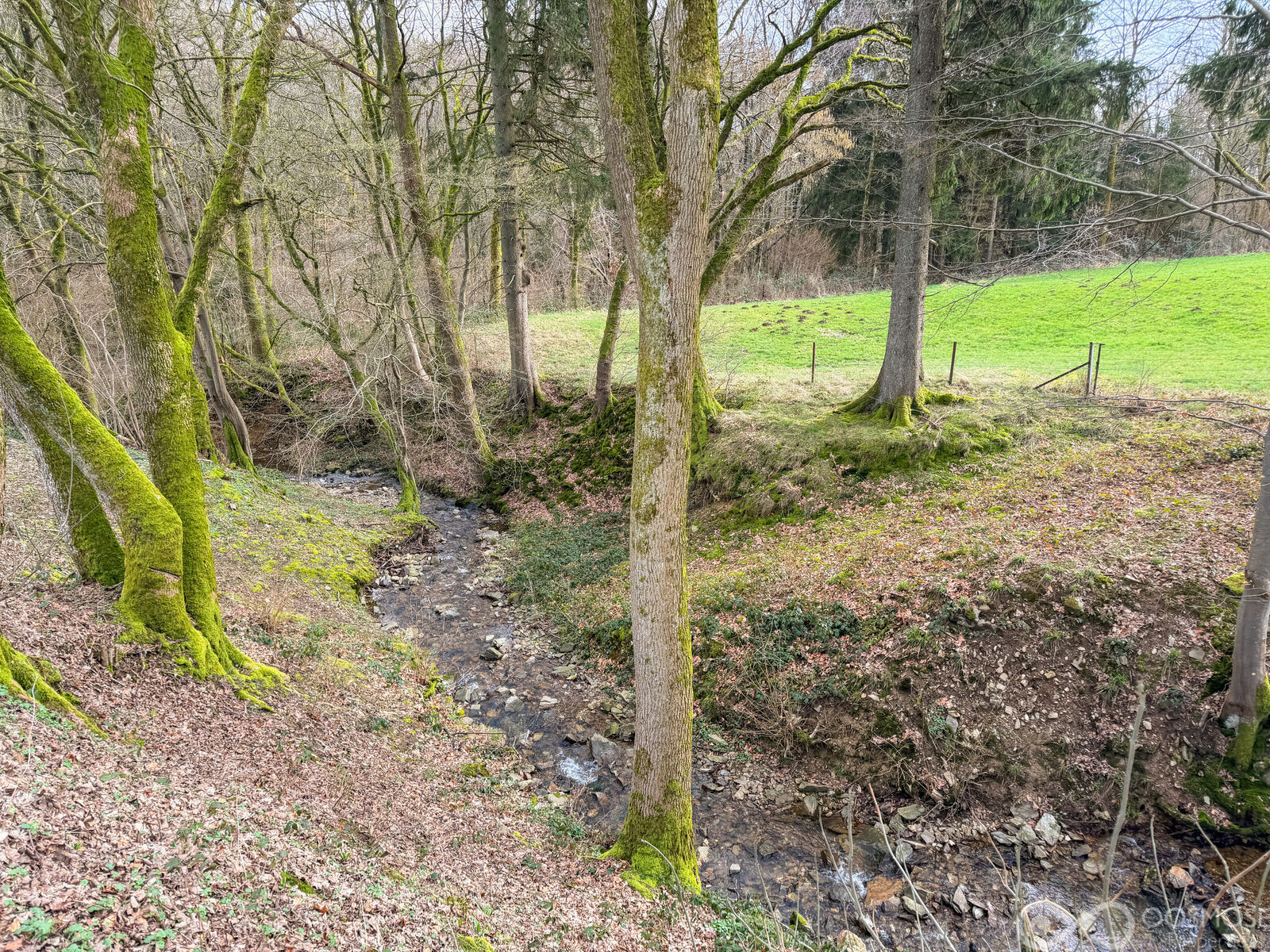 Terrain constructible de 1377 m² - Final-12