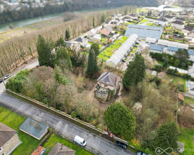 Demeure Bourgeoise de 280 m² au milieu d'un parc de 5.400 m² - Sans titre-1