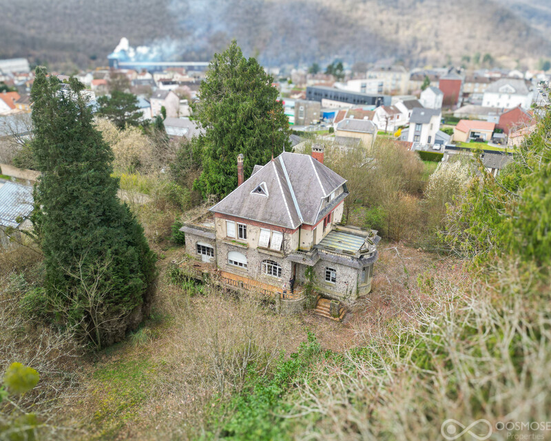Demeure Bourgeoise de 280 m² au milieu d'un parc de 5.400 m² - Sans titre-18