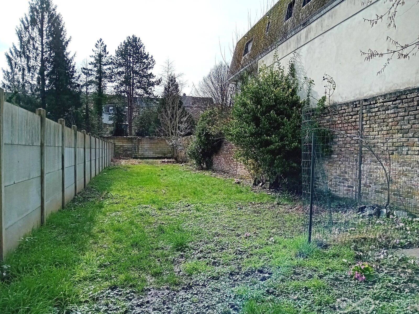 Immeuble avec 3 appartements  - 20240302 115813
