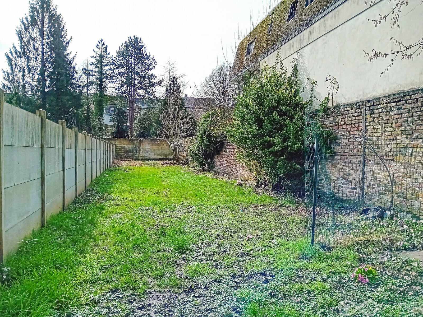 Immeuble avec 3 appartements  - Final-100