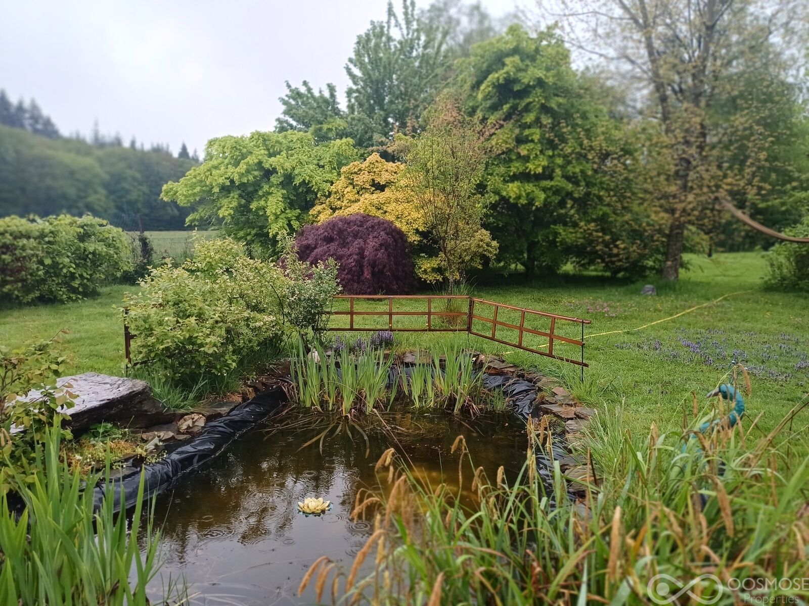 Belle propriété - 20260506 102658