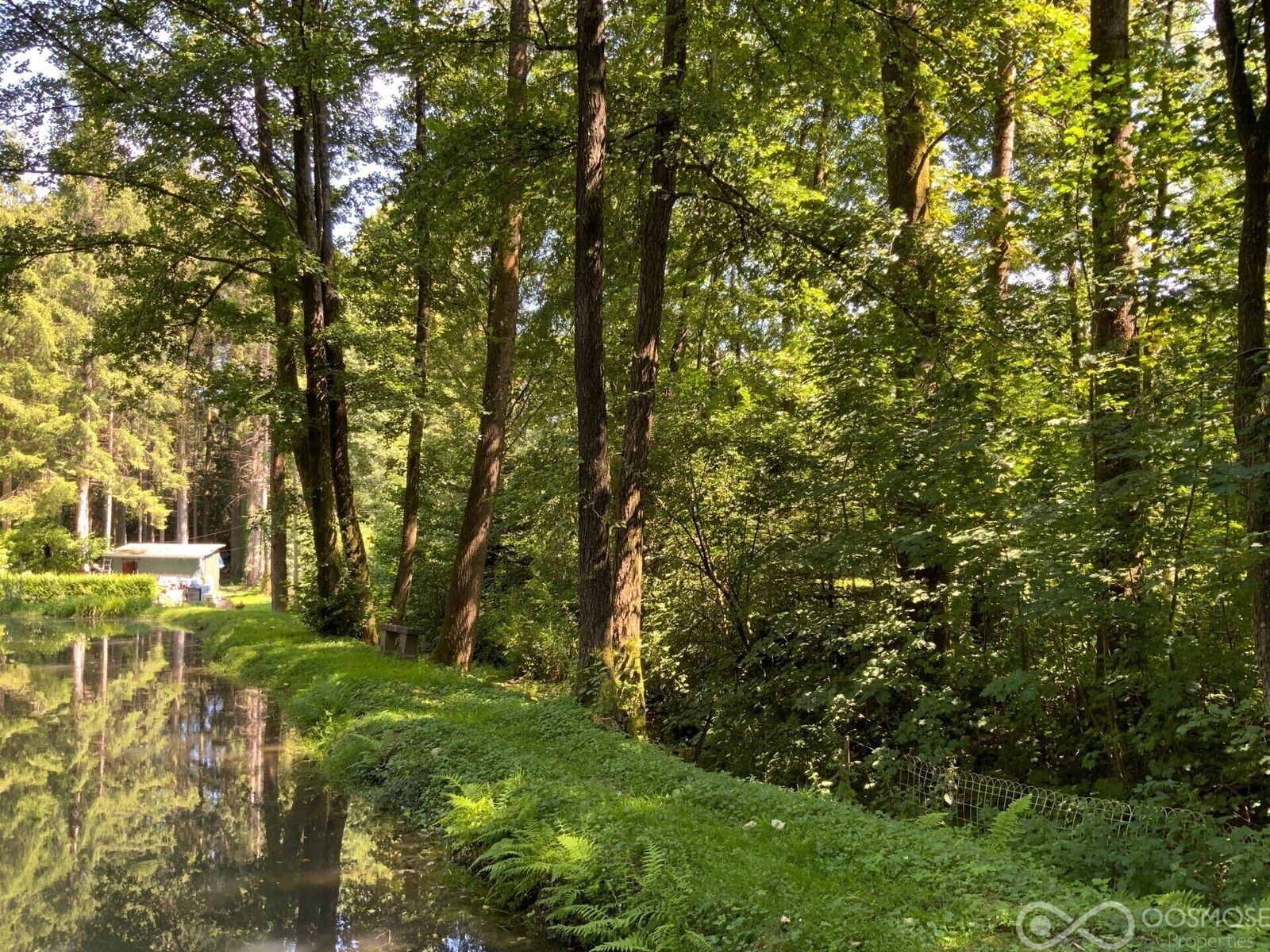 Terrain de loisir avec mobilhome et étang - C3981-b2463974-r9188