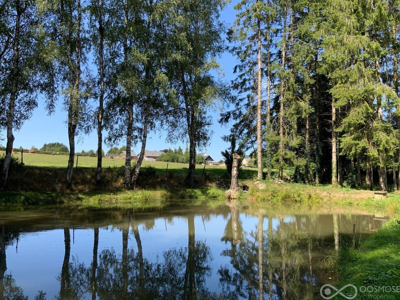 Terrain de loisir avec mobilhome et étang - C3981-b2463974-r3317