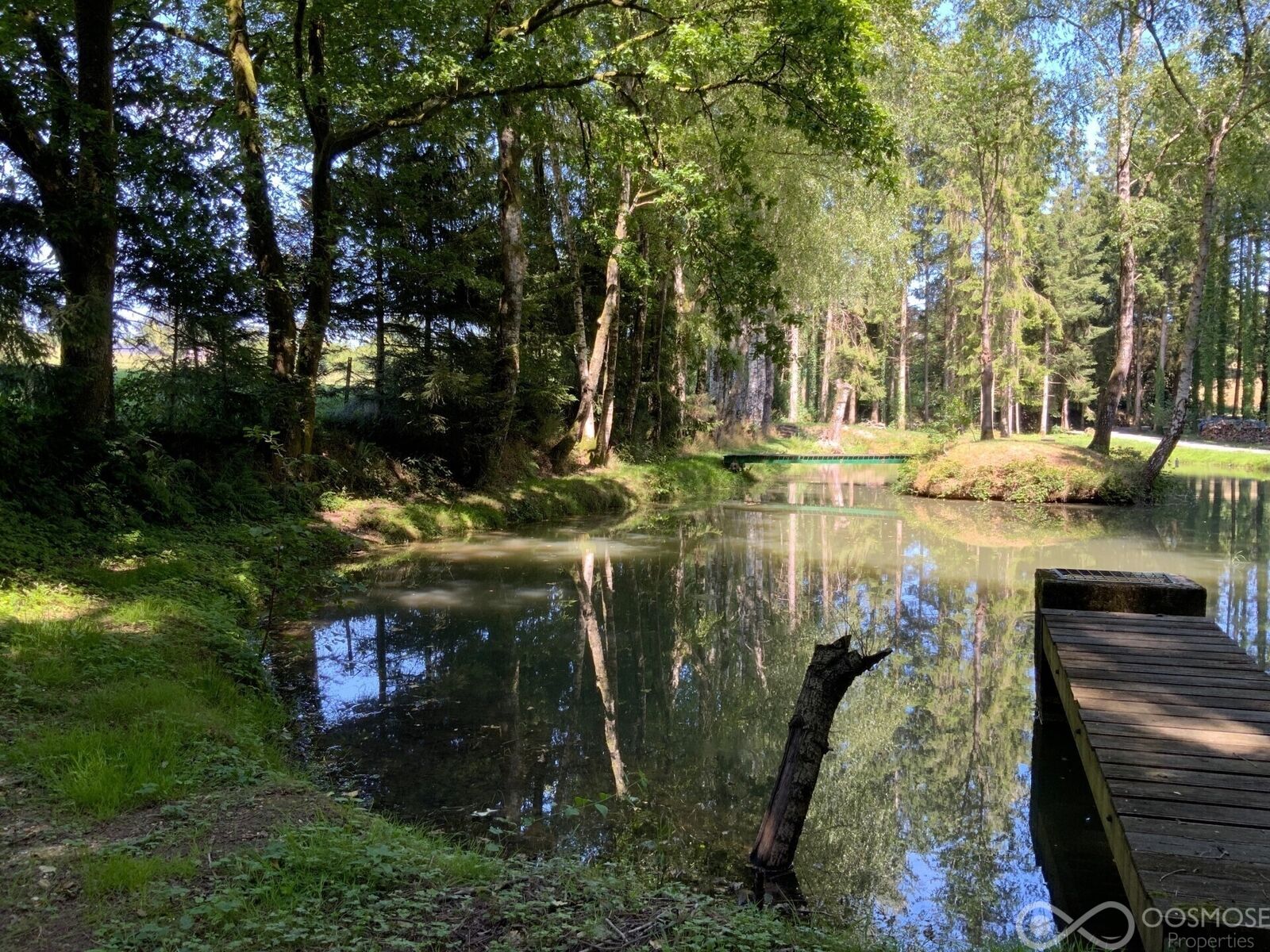 Terrain de loisir avec mobilhome et étang - C3981-b2463974-r6611