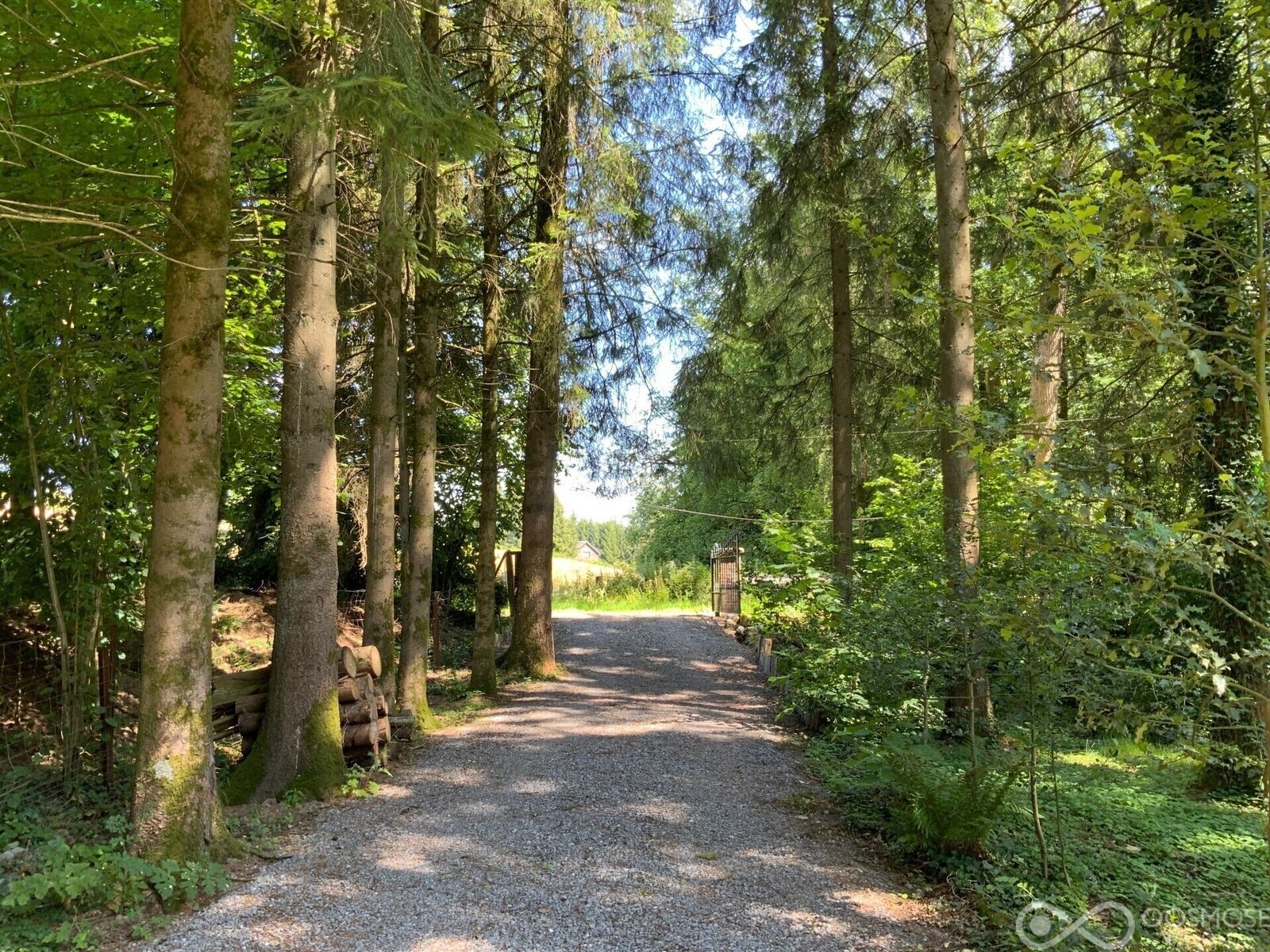 Terrain de loisir avec mobilhome et étang - C3981-b2463974-r6514