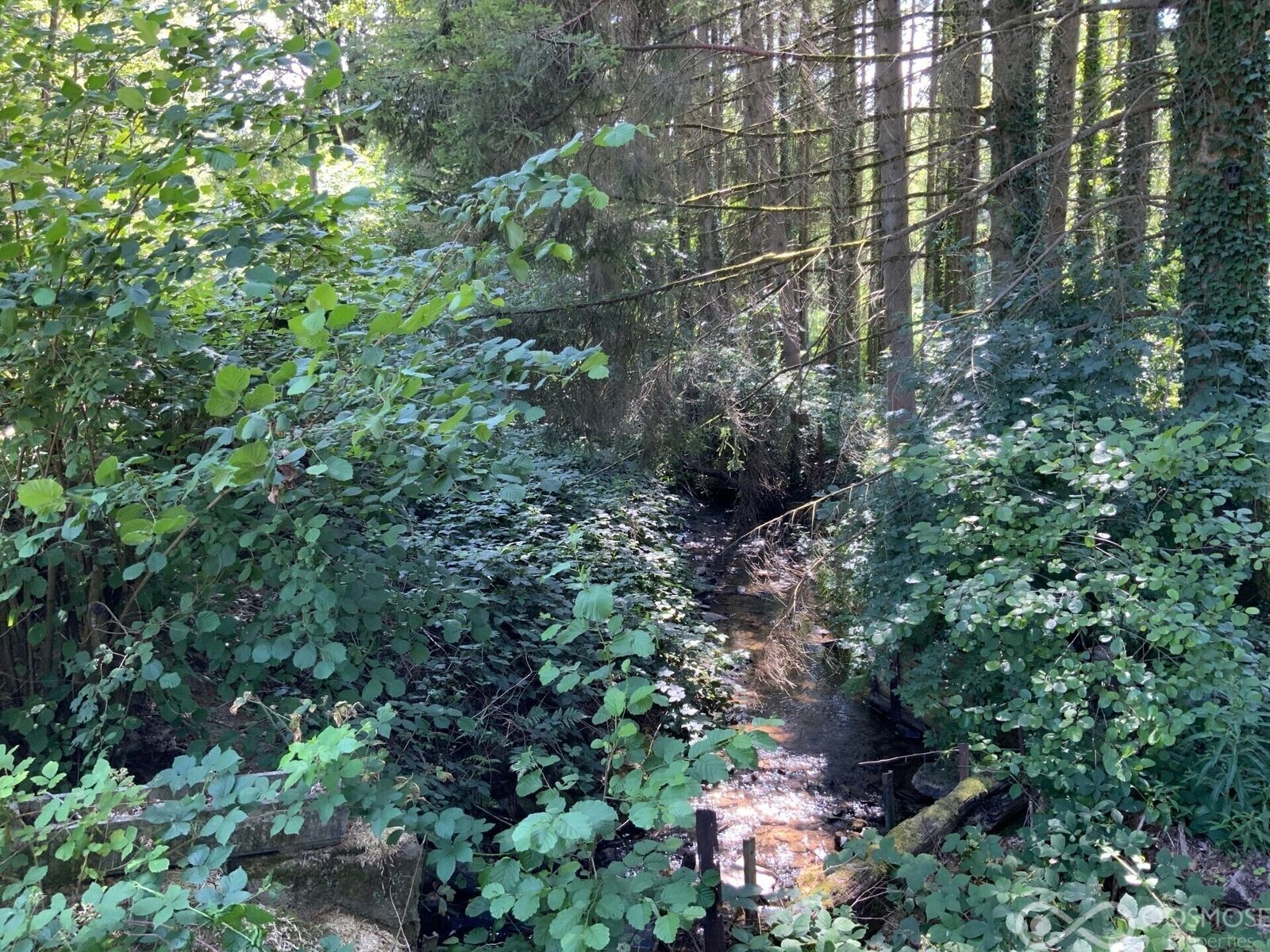 Terrain de loisir avec mobilhome et étang - C3981-b2463974-r2627