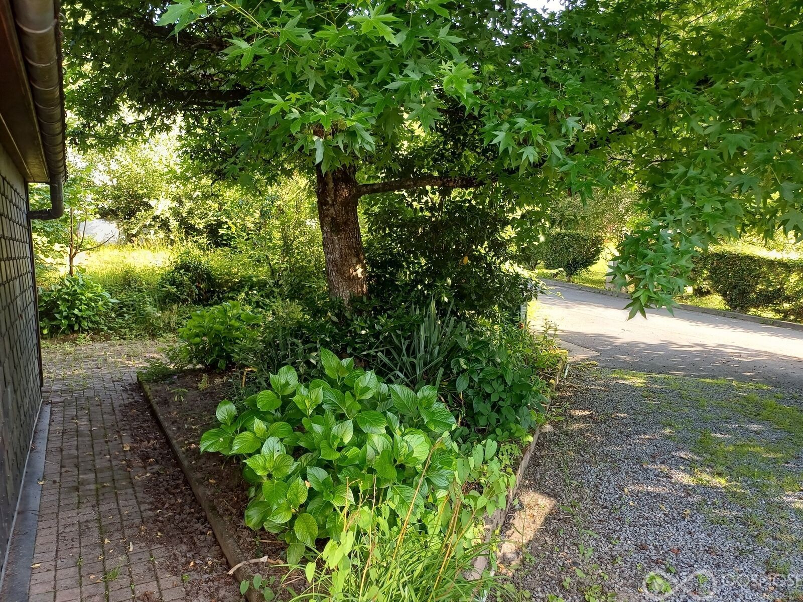 Beau chalet rustique - 20260624 085319  1 