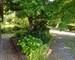 Beau chalet rustique - 20260624 085319  1 