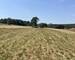 Terrain constructible d'environ 2.000 m2 dans un cadre exceptionnel  - Img 6710