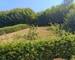 maison d'archtecte en pierre du pays - 20260813 141043